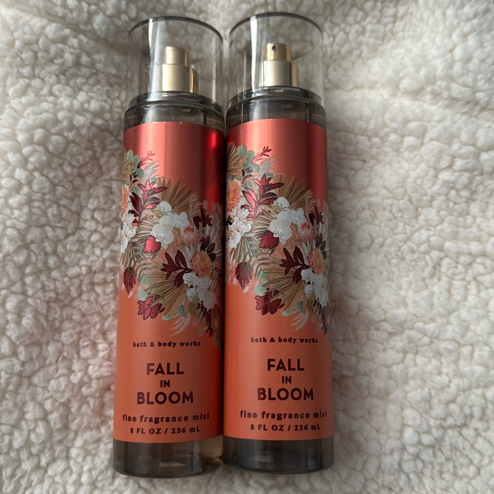 BBW Fall in Bloom FFM 2pc set